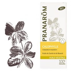 Calophylle : huile végétale pour soulager les jambes