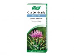 Chardon marie : extrait plante fraîche pour faciliter la digestion et aider le foie